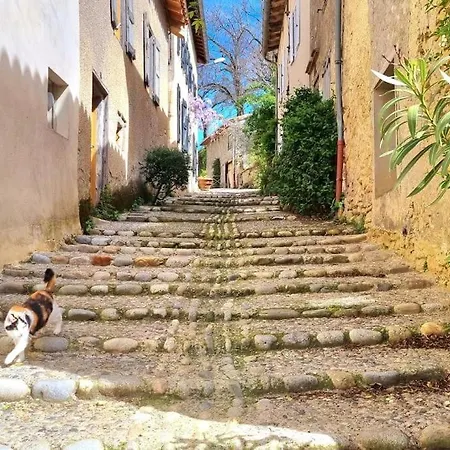 Petit Coin De Paradis